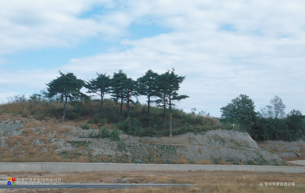 속초 조양동 선사유적