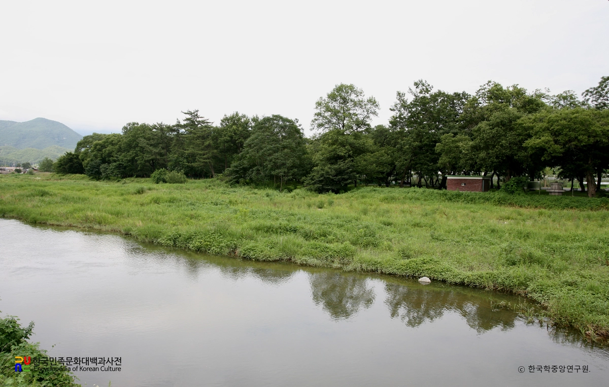 영천 자천리 오리장림