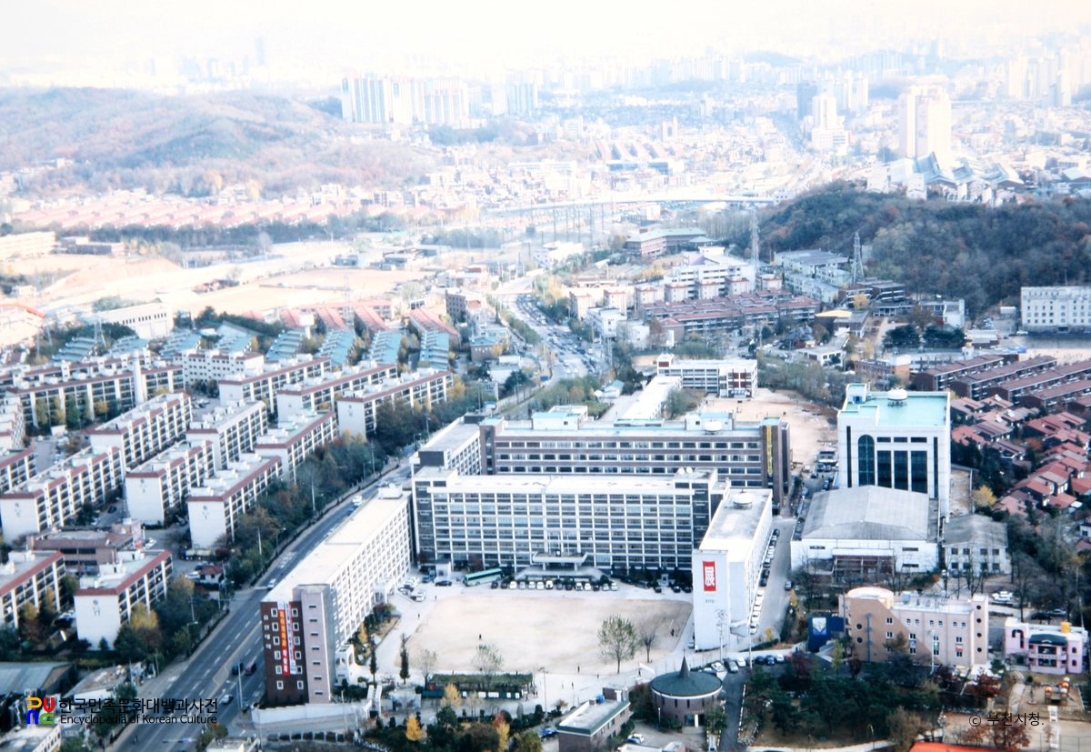 유한대학교