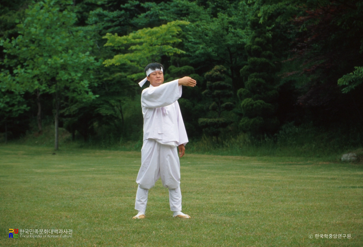 태껸 / 서서익히기