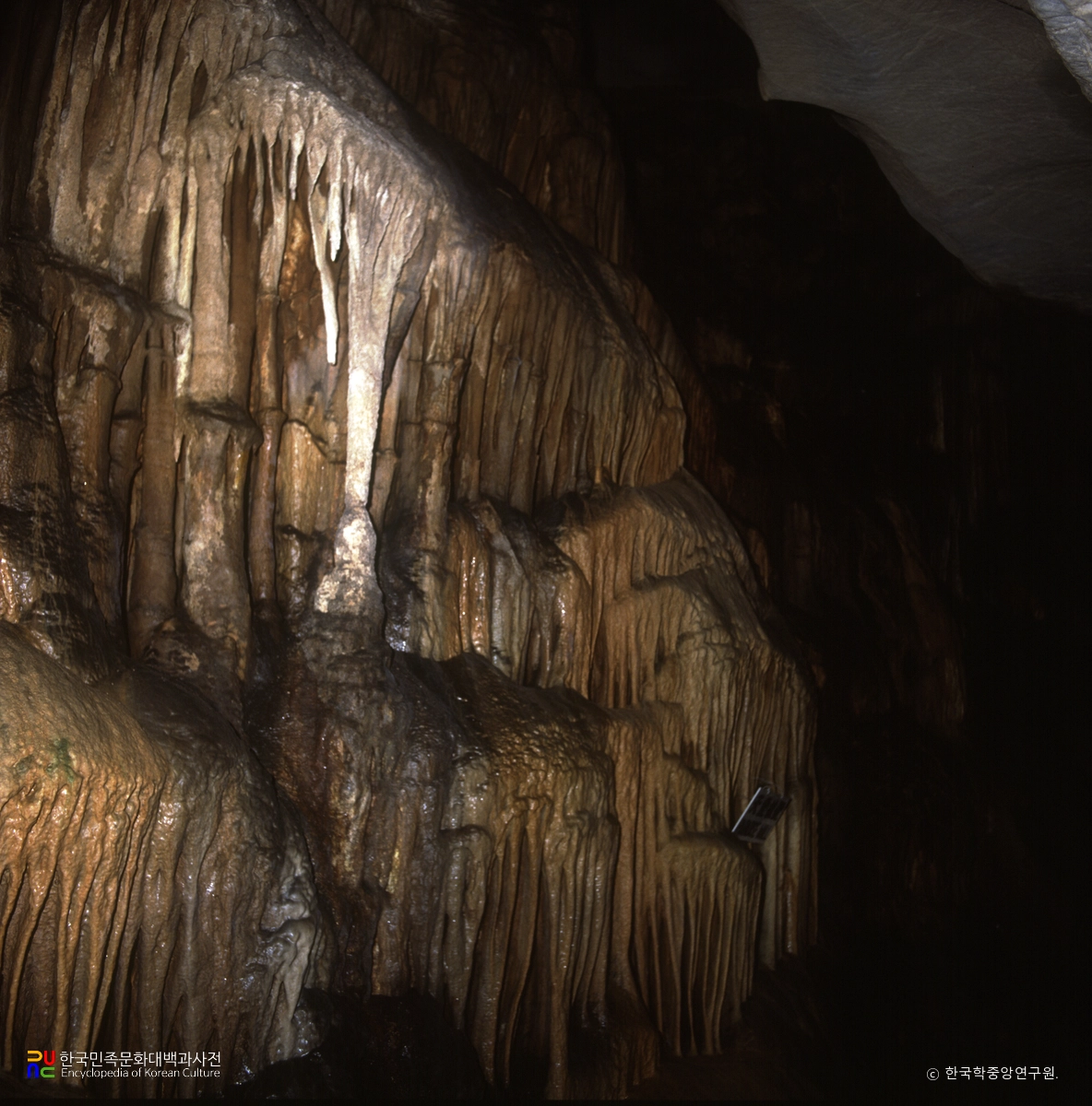 단양 고수동굴