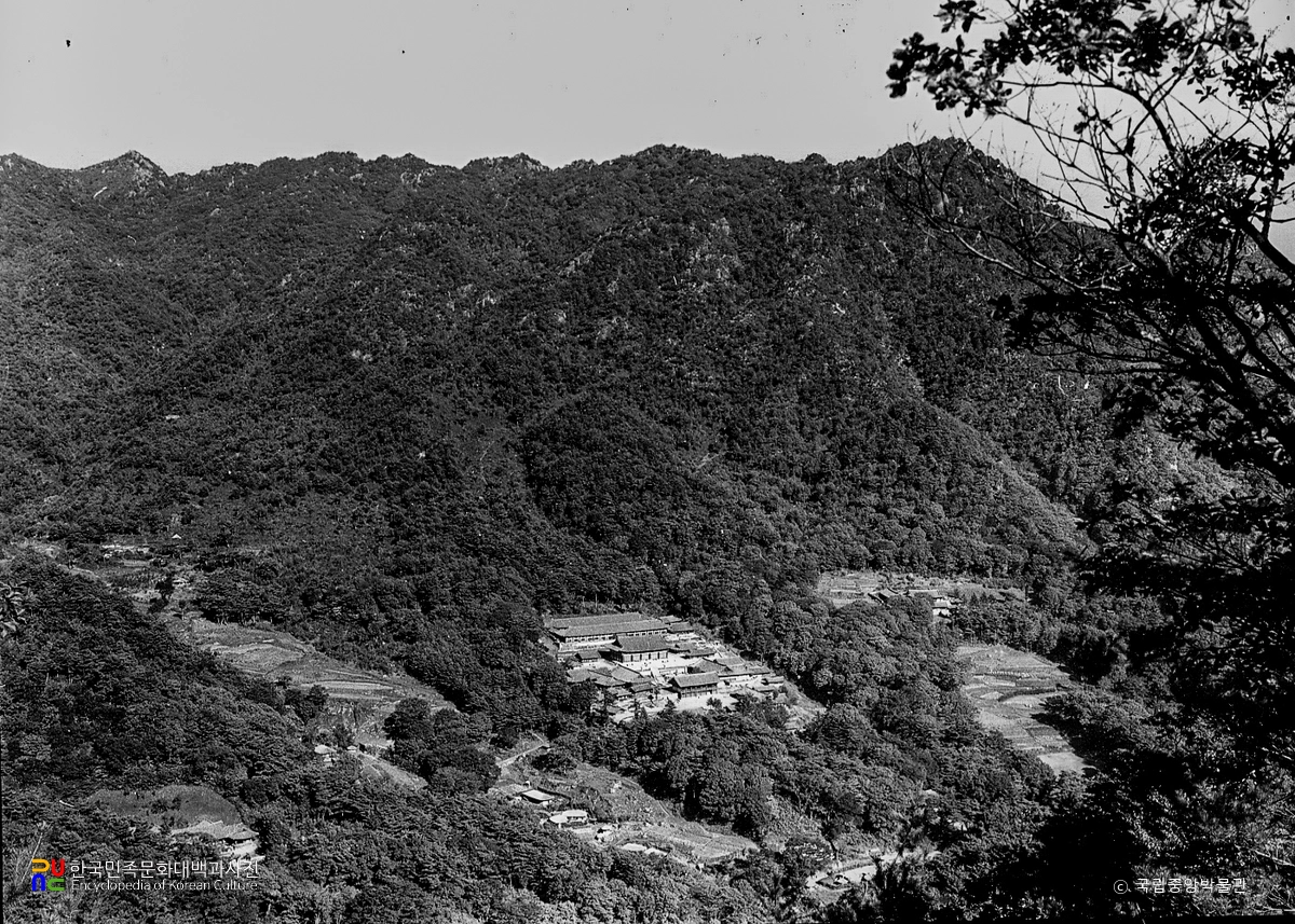 합천 해인사 원경