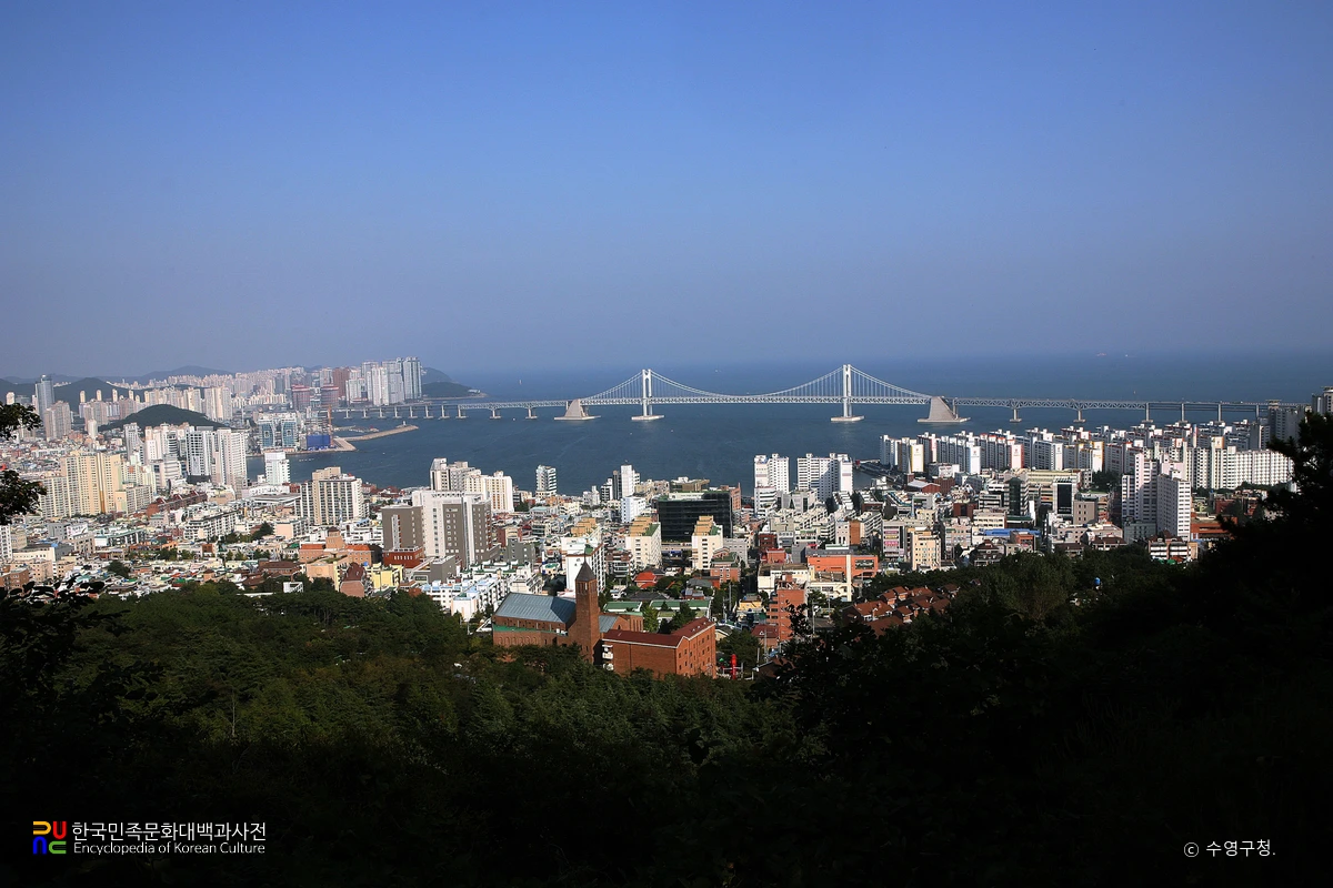 수영구 전경