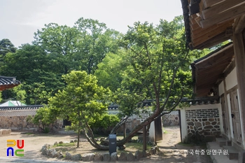 화성 융릉 개비자핑크 슬롯