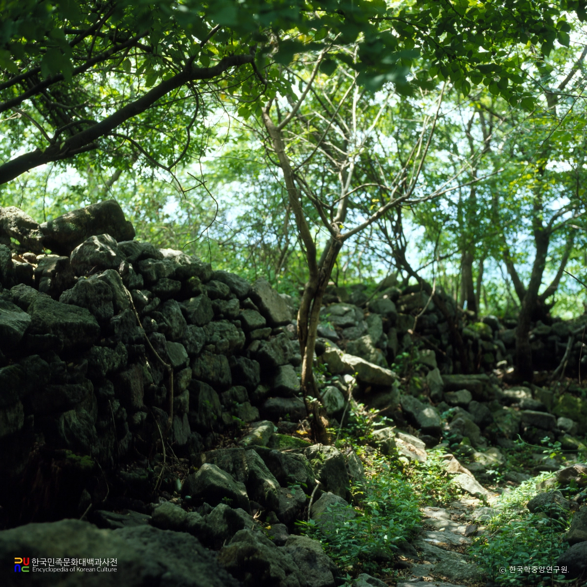 담양 금성산성 성벽