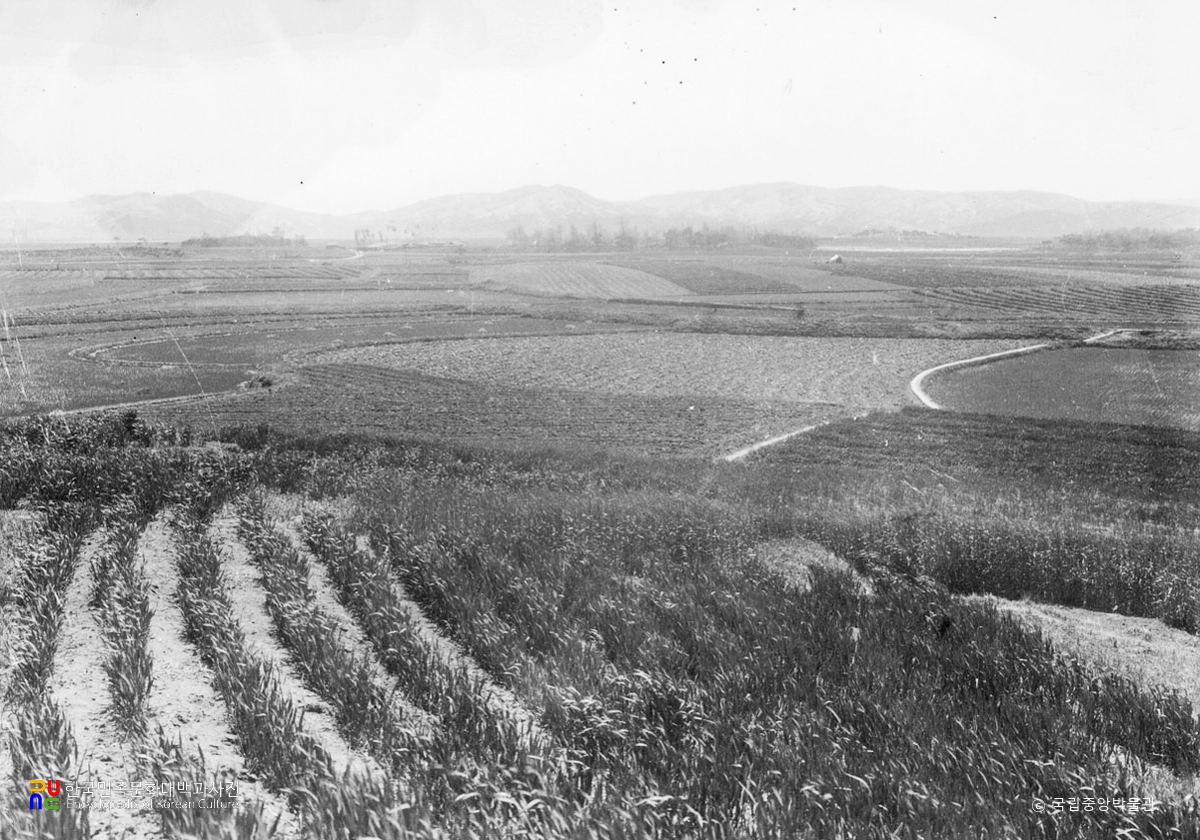 부여 동남리사지 전경