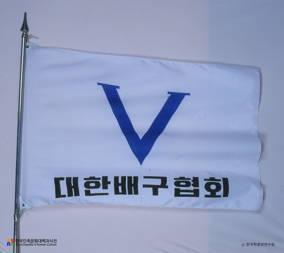 대한배구협회 기