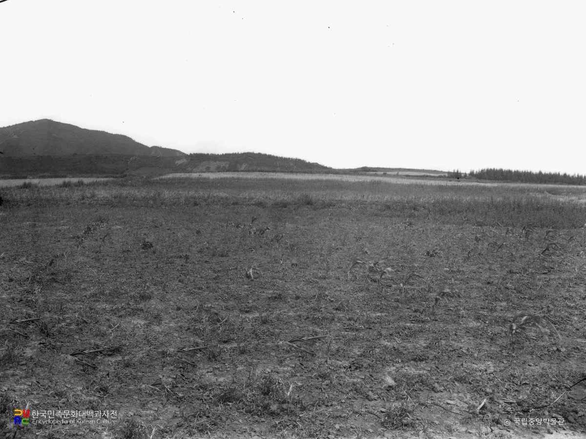 함북 종성 지경동 청동기시대 유적