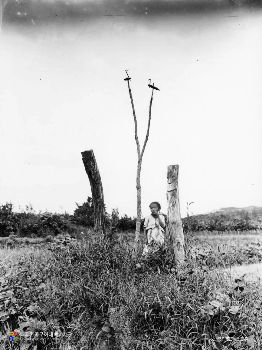 충남 부여 읍 입구 장승과 솟대