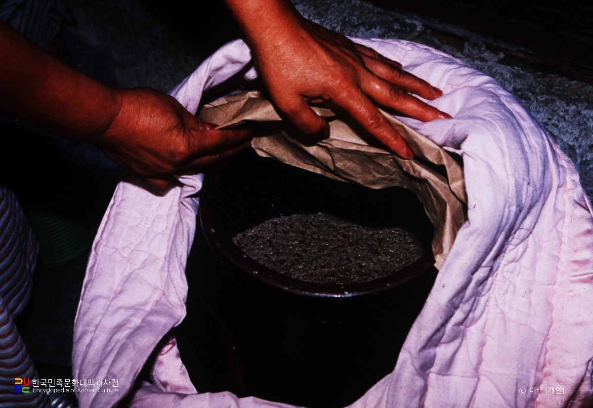 막걸리 만드는 과정 4