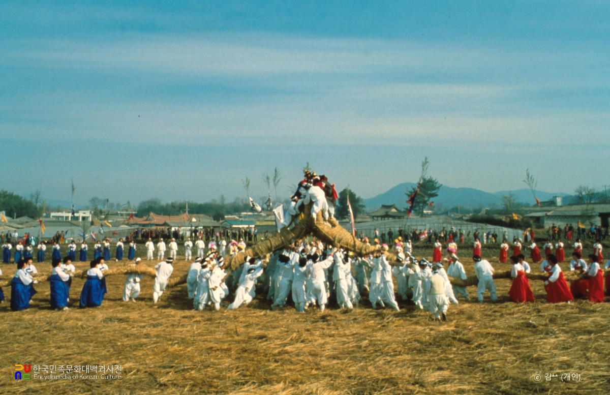 광주 칠석 고싸움놀이