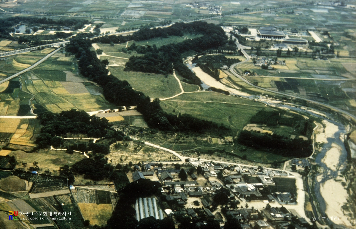 경주 월성 전경