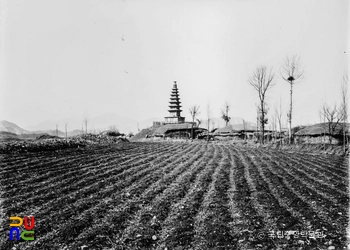 충주 탑평리 칠층석탑 동남면 원경