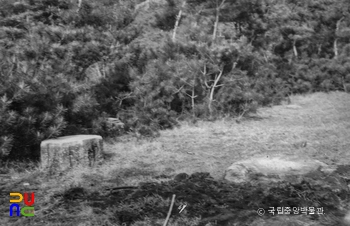 경주 남산 일원 중 용장계 법당곡 폐사지