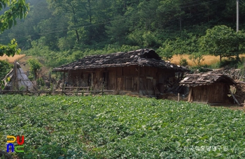 삼척 굴피집 정측면