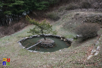 제천 박약재 원지 전경