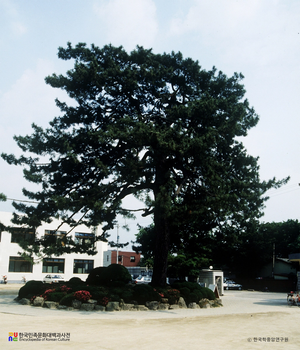 해남 성내리 수성송