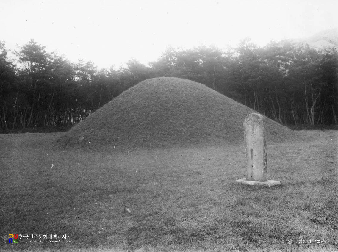 경주 신라 경애왕릉 정면