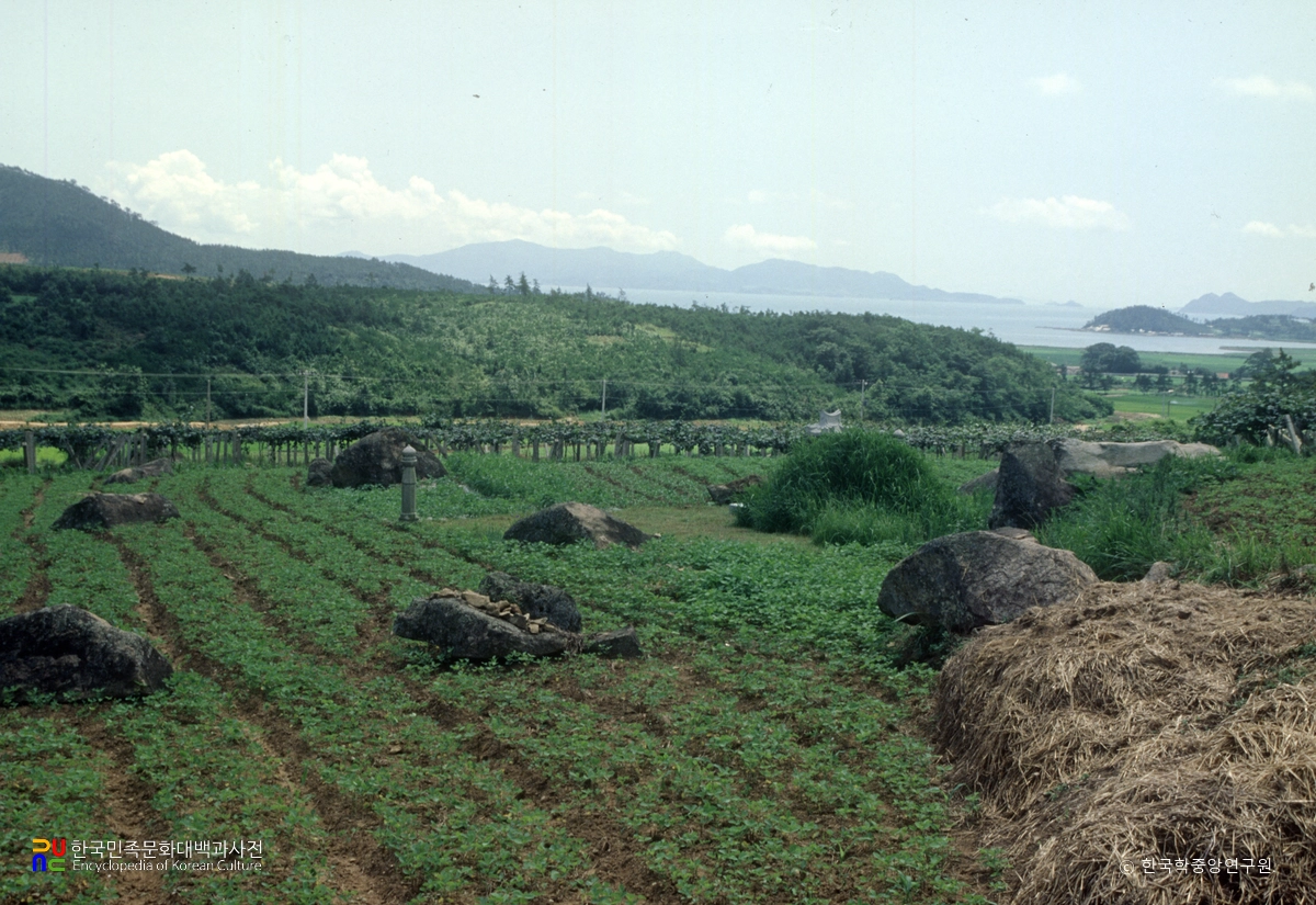 장흥 방촌리 지석묘군 전경