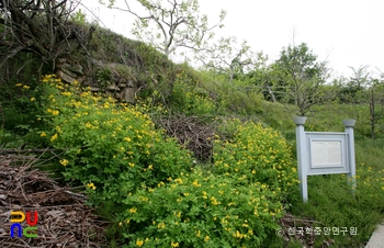 최윤덕 장군 생가지