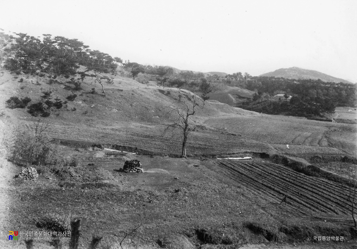 부여 가탑리 폐사지 전경