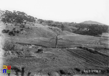 부여 가탑리 폐사지 전경