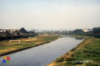 무심천