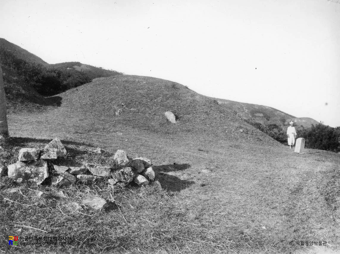 경주 신라 헌안왕릉