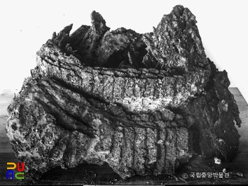 경남 창녕 교동 제89호분 괘갑