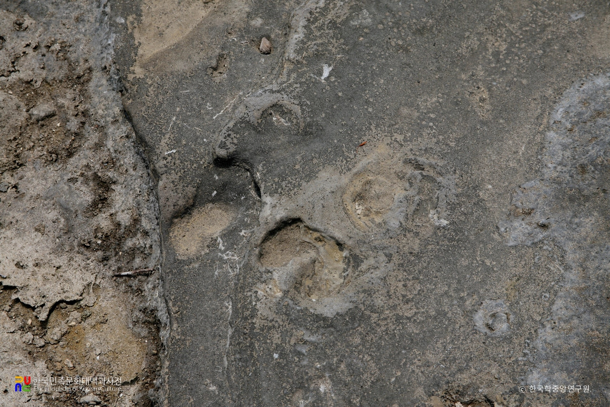 제주 사람발자국과 동물발자국 화석 산지