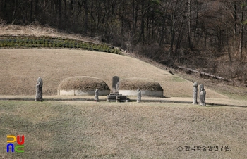 홍우경. 정인옹주 묘소