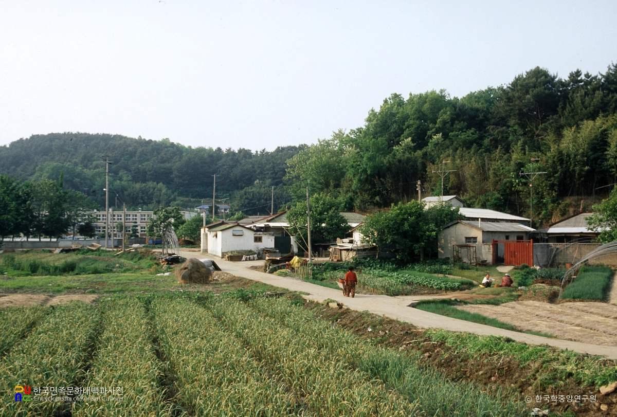 군산 옥구읍성지