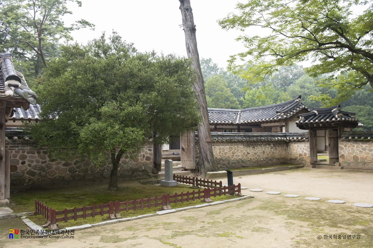 여주 효종대왕릉 회양목