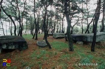 함평 용월리 지석묘군