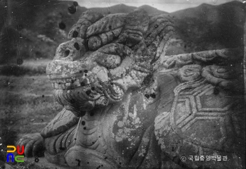 여주 고달사지 원종대사탑비 귀부 머리 부분