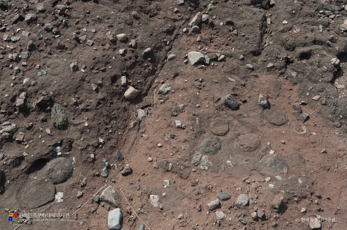 화성 고정리 공룡알화석 산지