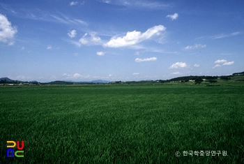 안성평야