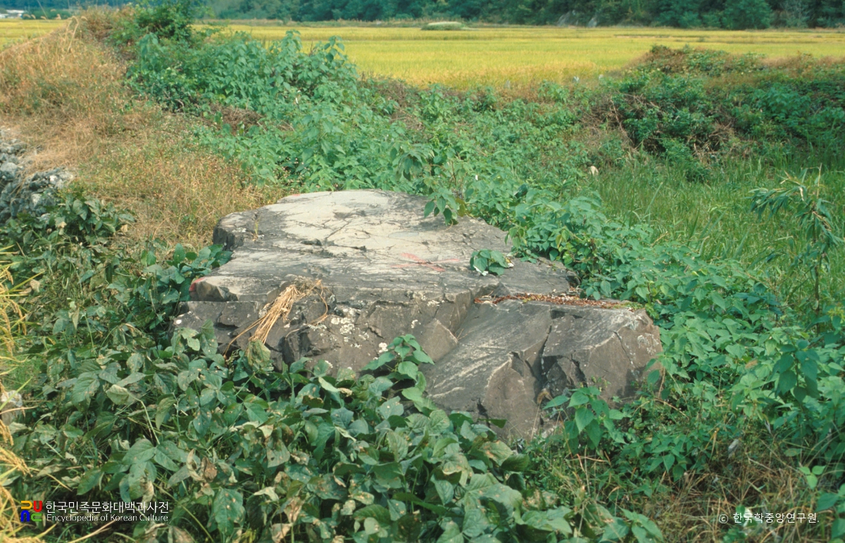 고성 석지리 지석묘 전경