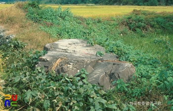 고성 석지리 지석묘 전경