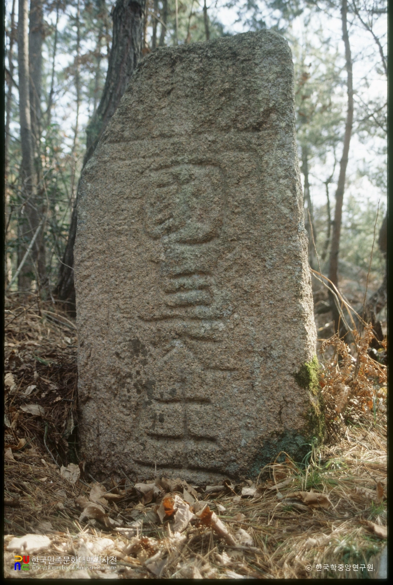 영암 죽정리 국장승 정면