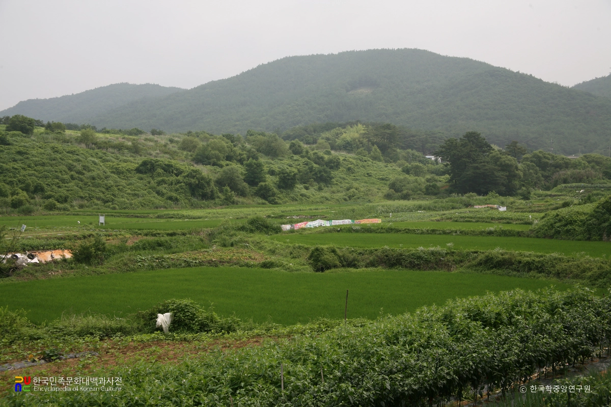 경주 손곡동과 물천리 유적