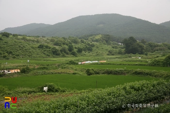 경주 손곡동과 물천리 유적