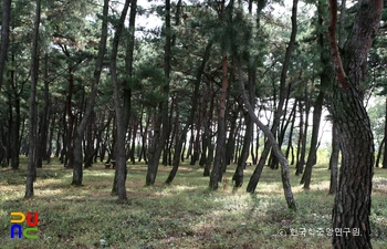 포항 북송리 북천수