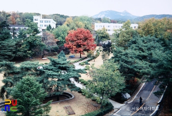 서울여자대학교