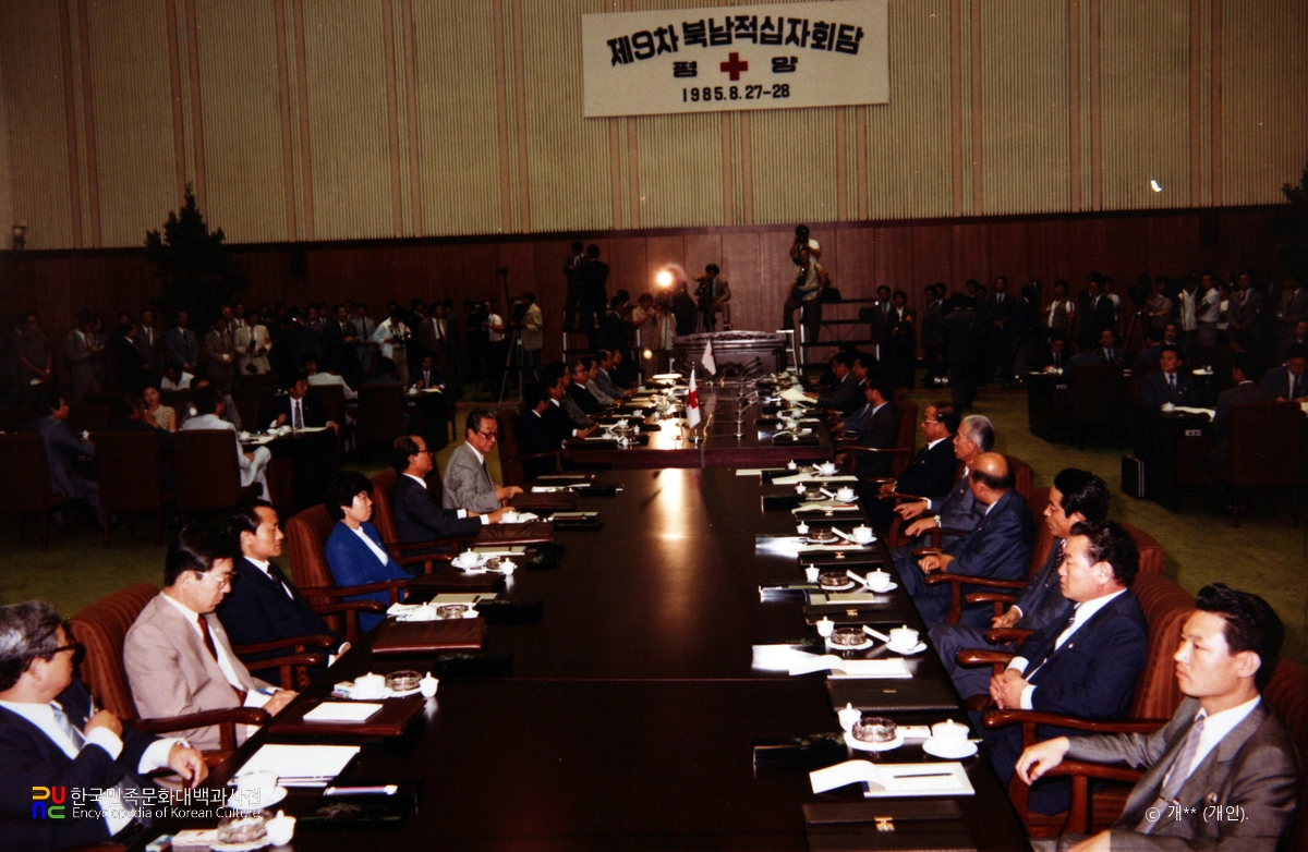 남북 적십자회담 / 9차, 평양