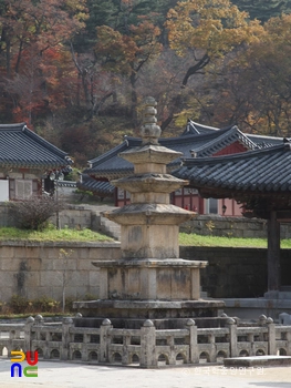 합천 해인사 삼층석탑