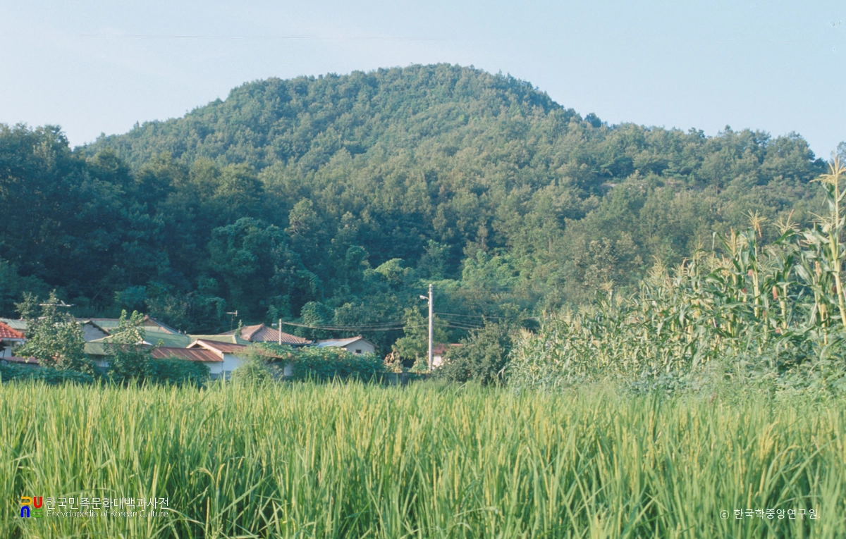 여주 파사성 전경