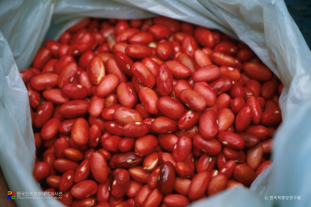 강낭콩