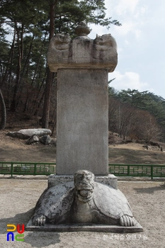 영월 흥녕사지 징효대사탑비