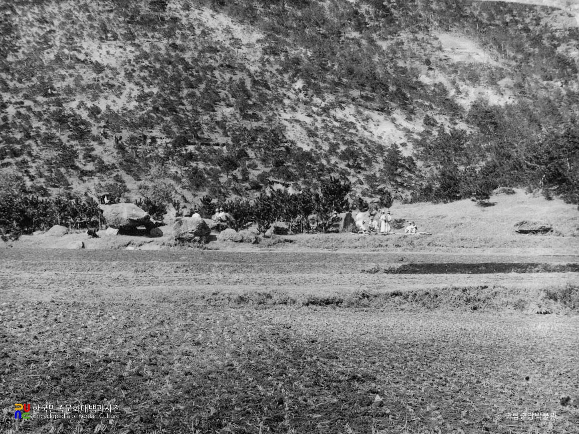 나주 노동리 동부 지석묘군 전경